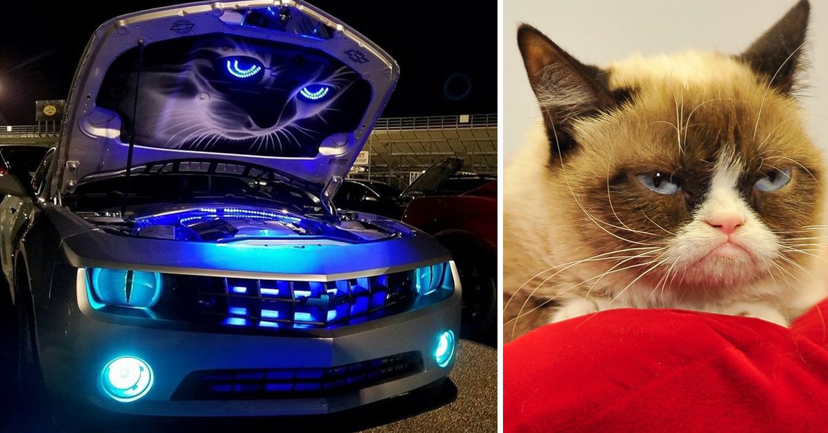 16 Unspeakable Things Done To The Camaro That Made Us Weep