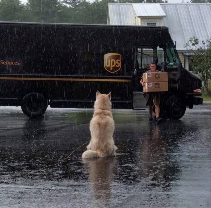 19 Things People Don T Know About Ups Drivers Hotcars